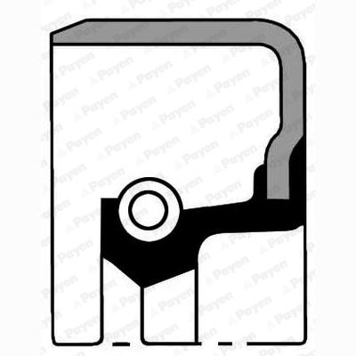 PAYEN NB818 Crankshaft Shaft Seal