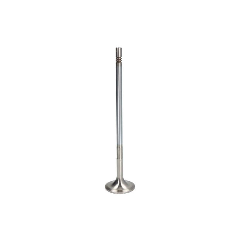 TRW 48315 Intake Valve