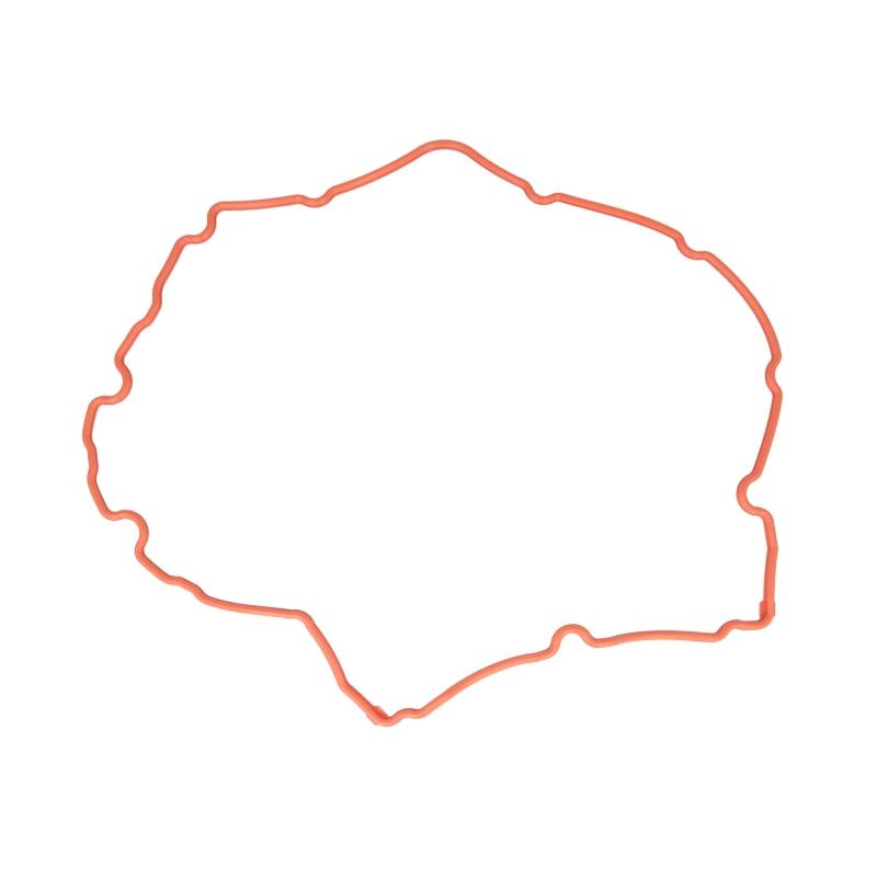 REINZ 71-38172-00 Cylinder Head Cover Gasket