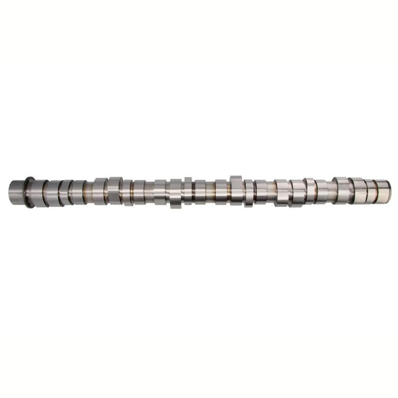 BF 20100413003 Camshaft