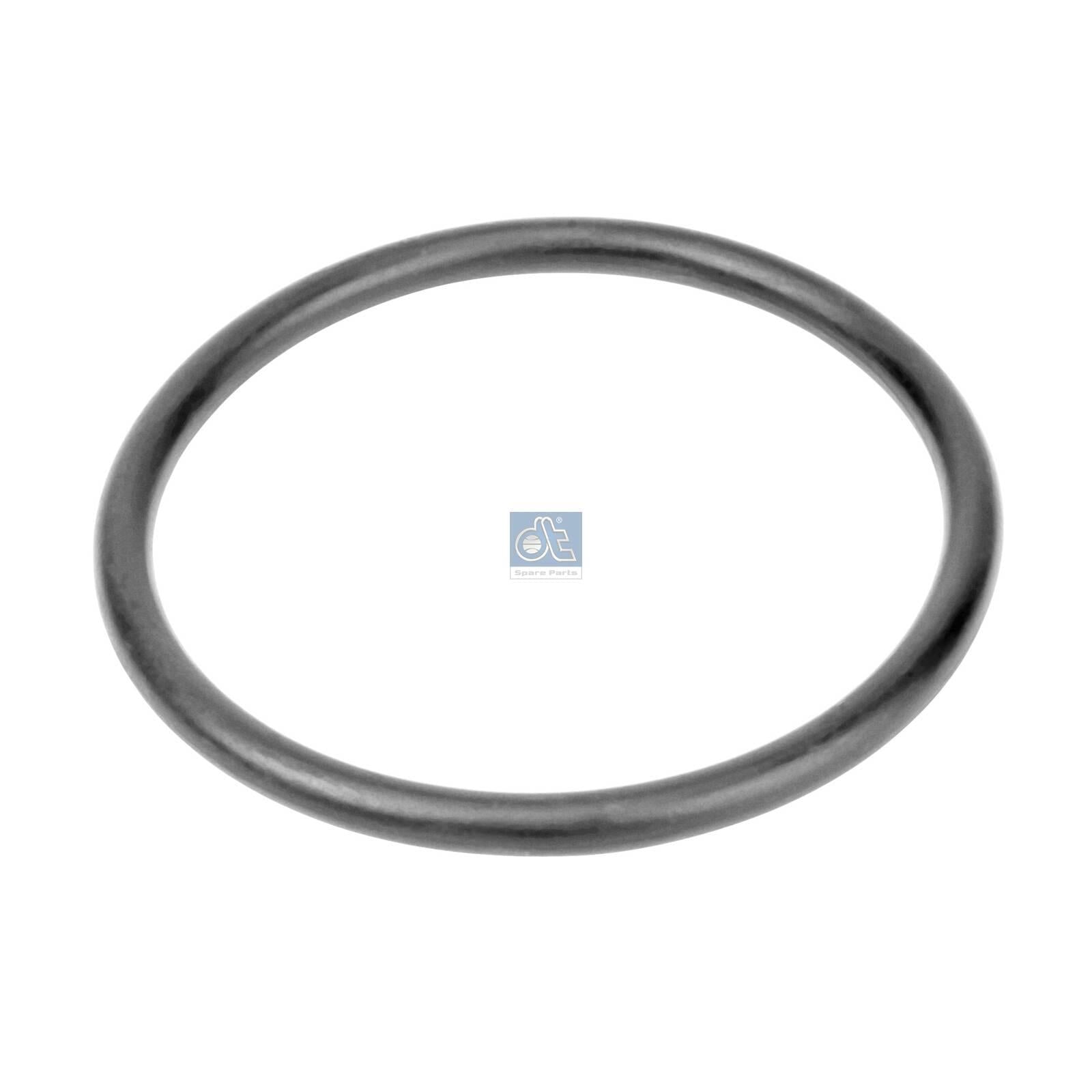 DT A/C 6.30062 Water Pump Gasket
