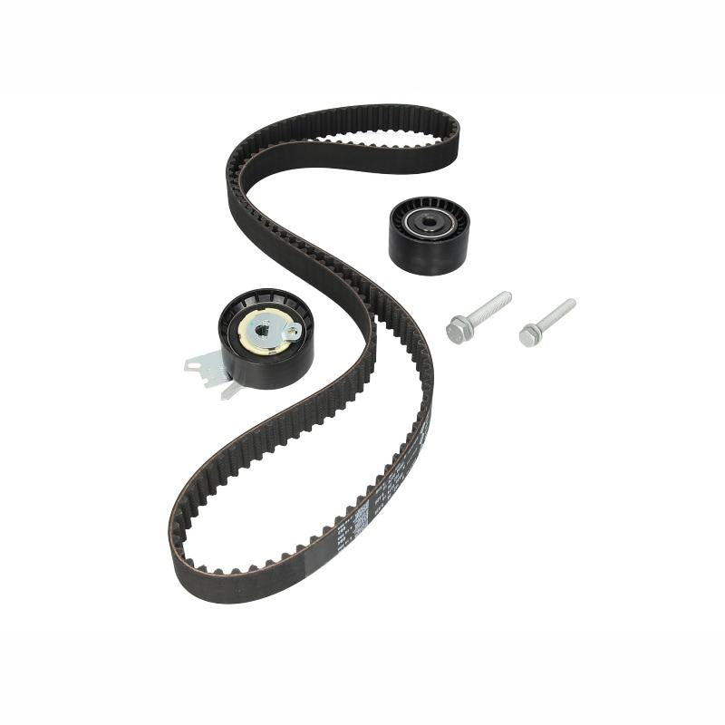 INA 530047110 Timing Belt Set