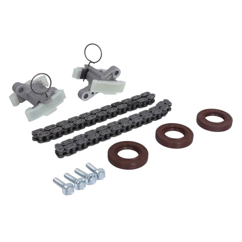 SKF VKML83503 Timing Chain Kit