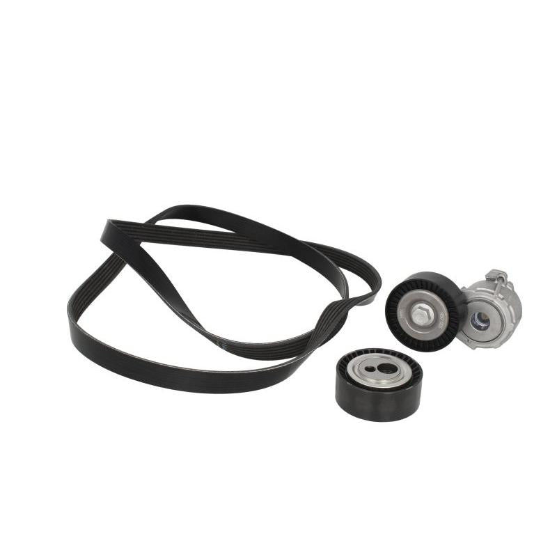 INA 529009210 V-Ribbed Belt Set