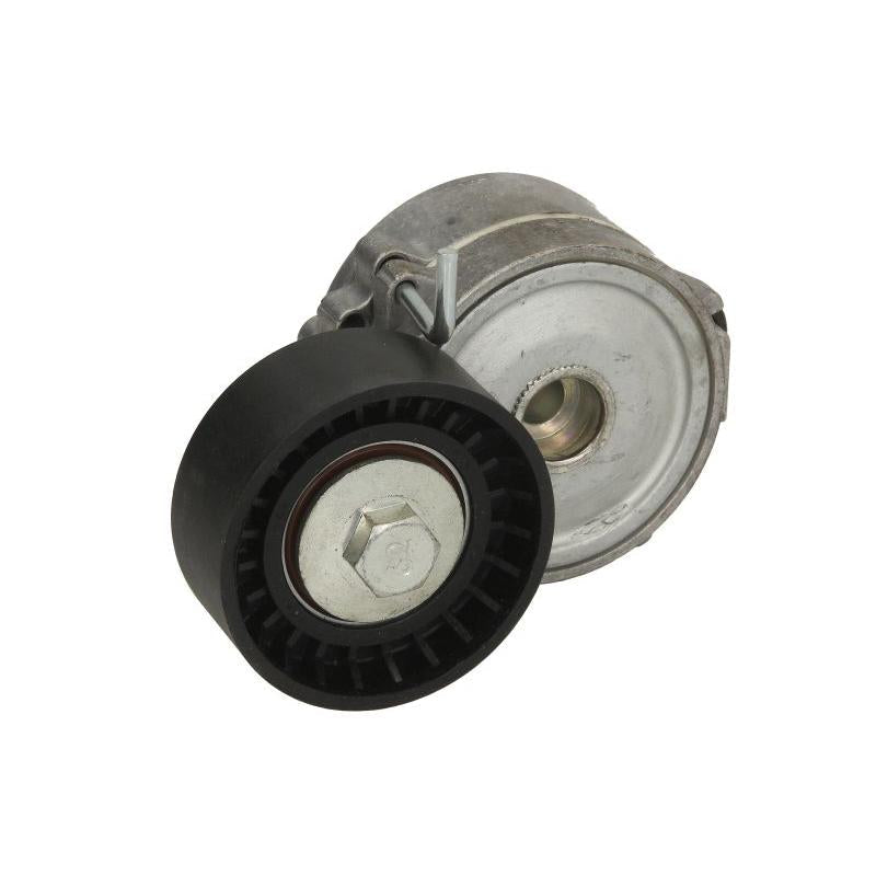 INA 534006810 V-Ribbed Belt Tensioner Lever