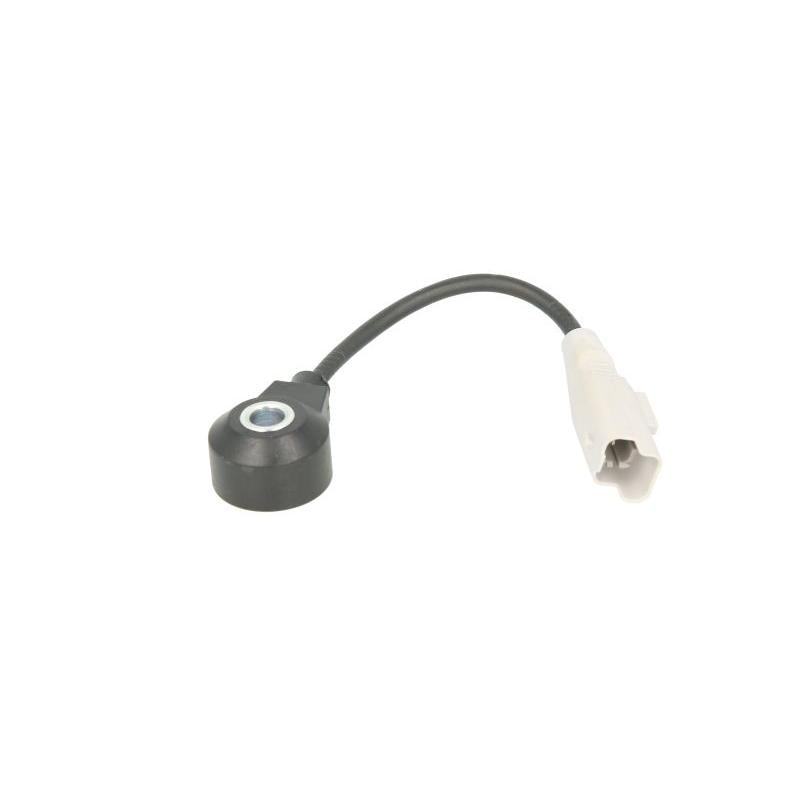 FAE AE60249 Knock Sensor