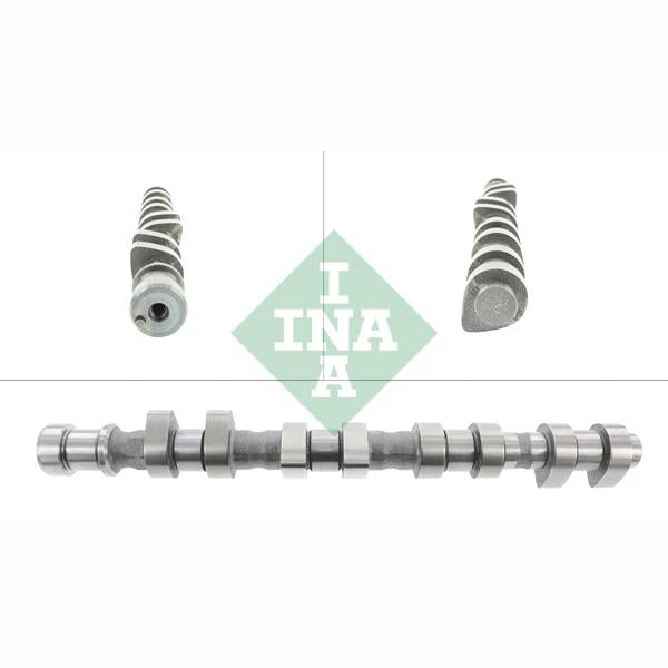 INA 428012210 Camshaft