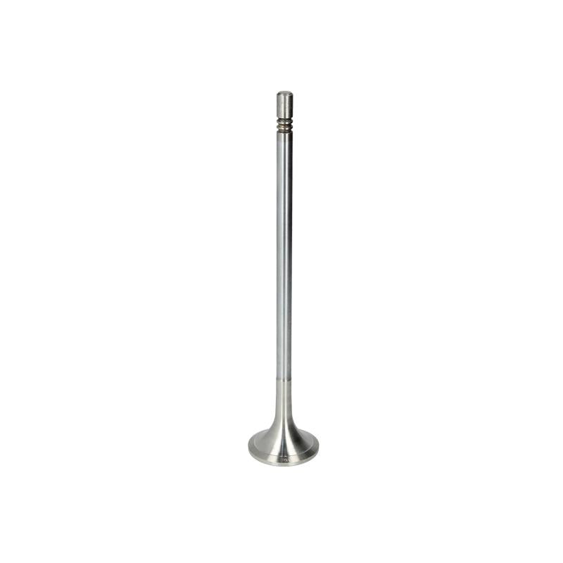 TRW 48311 Exhaust Valve