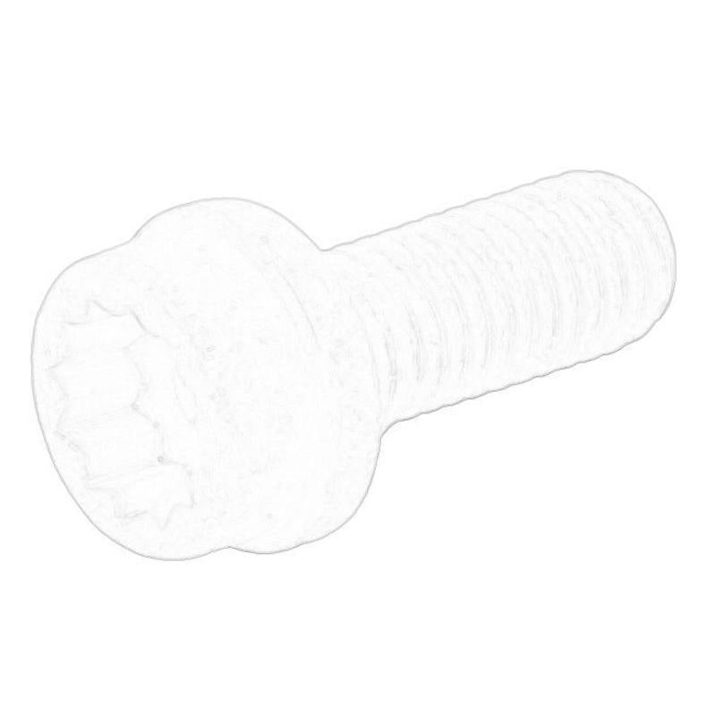 OE VW N91048804 Pulley Bolt