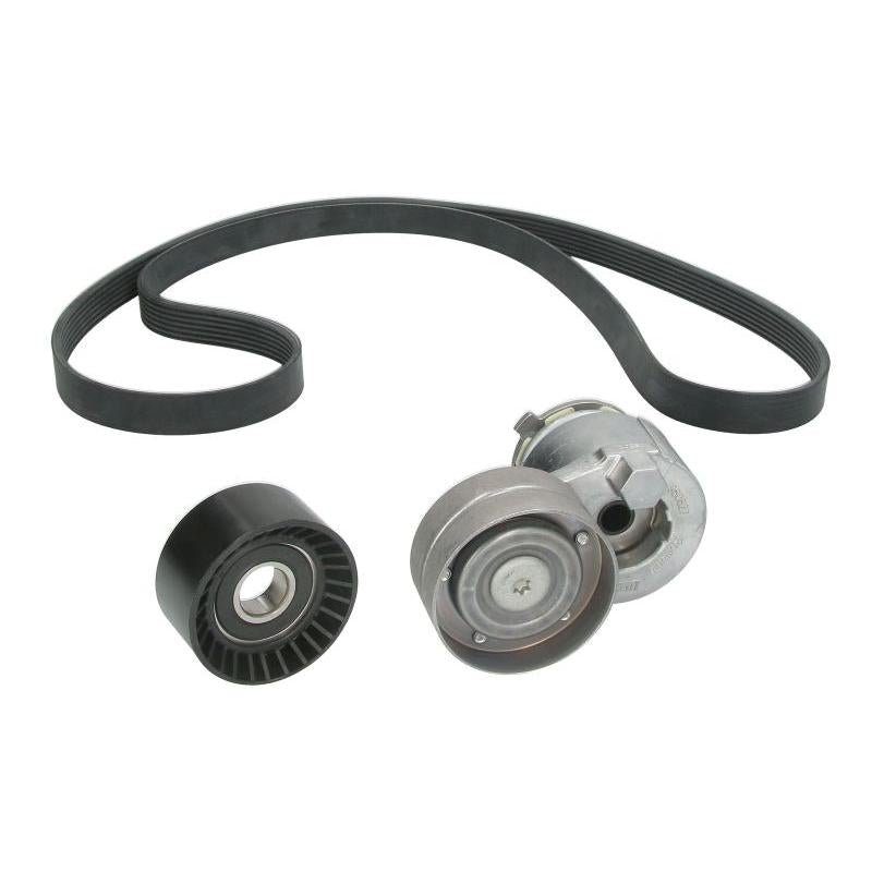INA 529041210 V-Ribbed Belt Set