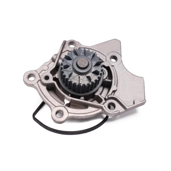 HEPU P676 Water Pump