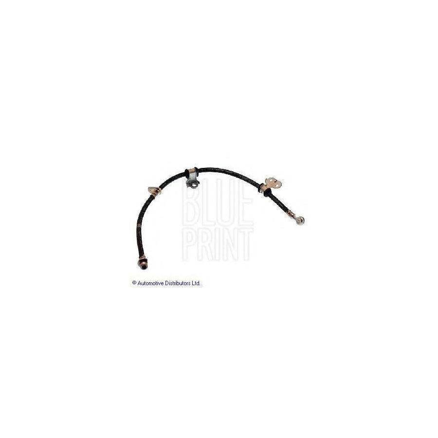 Blue Print Adh25382 Brake Hose