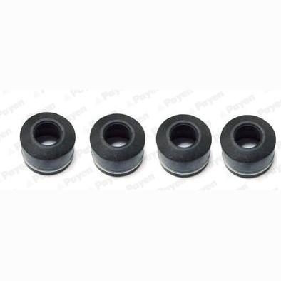 PAYEN HR336 Valve Stem Seal Set