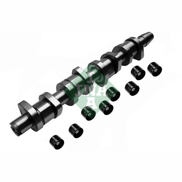 INA 428003930 Camshaft Kit