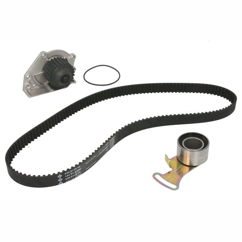 INA 530024230 Water Pump & Timing Belt Kit