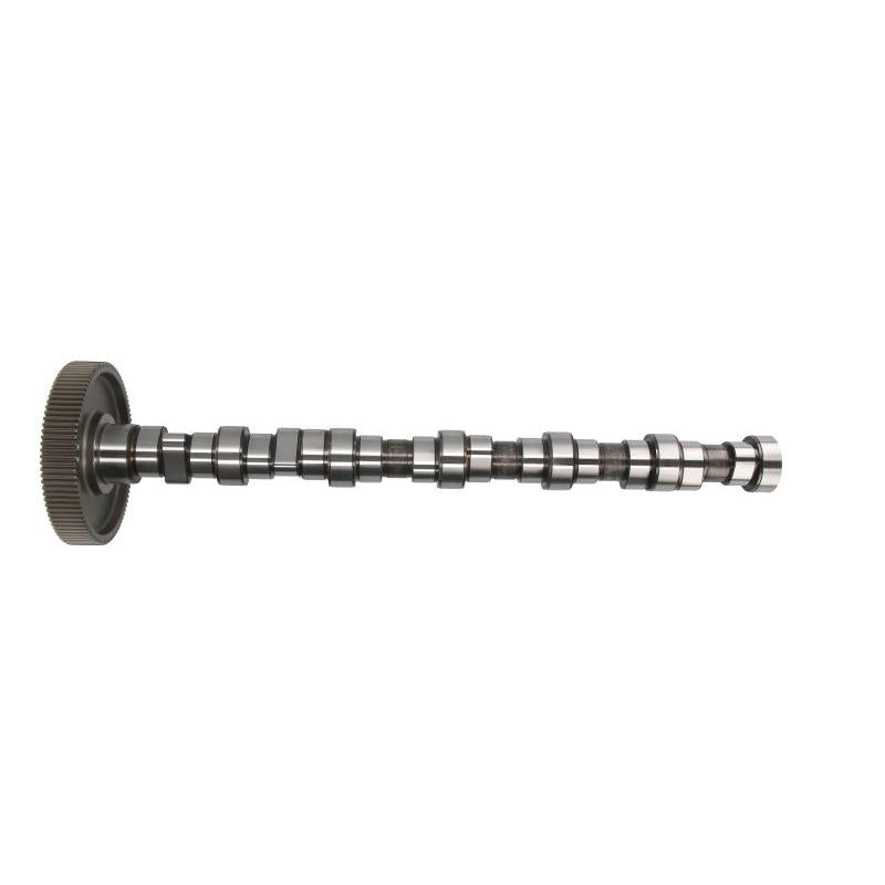 BF 20100407100 Camshaft