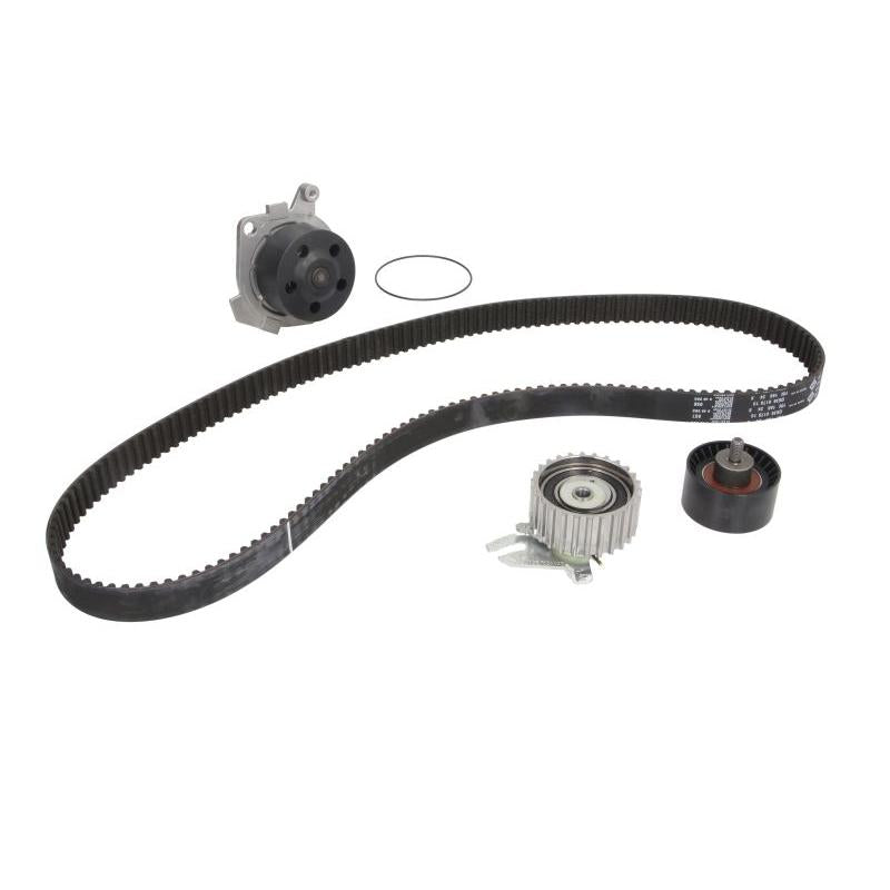 INA 530022530 Water Pump & Timing Belt Kit