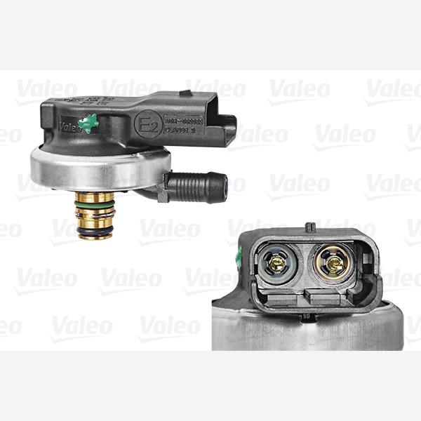 VALEO L348010 Injector