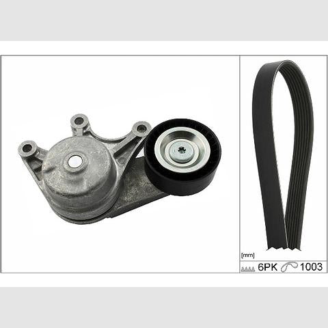 INA 529048310 V-Ribbed Belt Set