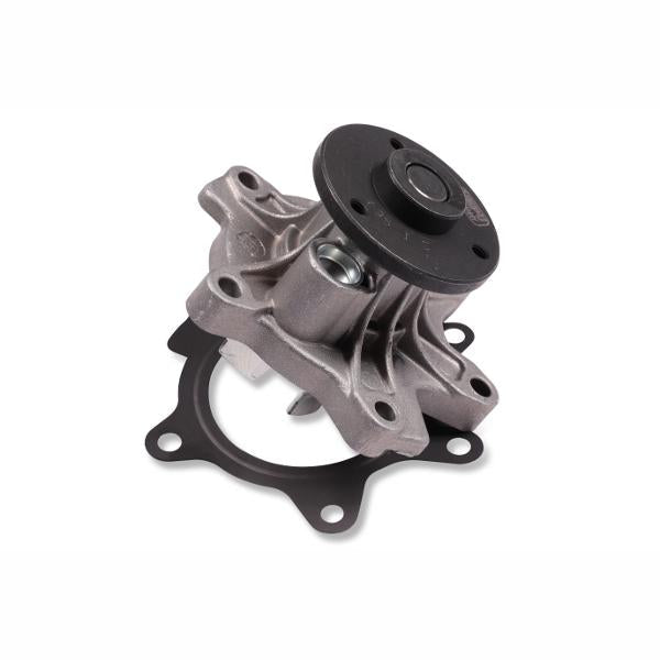 HEPU P7666 Water Pump