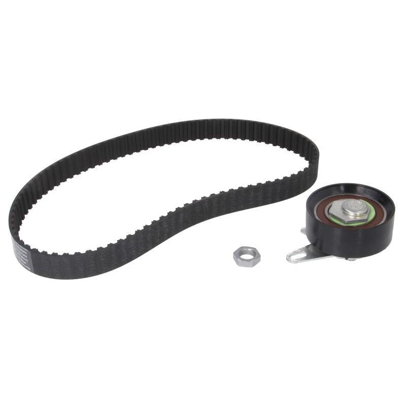 INA 530020210 Timing Belt Set