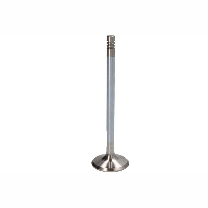 NE 148007000400 Exhaust Valve
