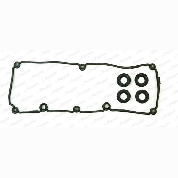 PAYEN HM5395 Cylinder Head Cover Gasket Set