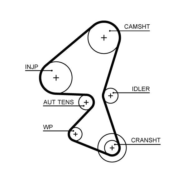 GATES GAT5656XS Timing Belt