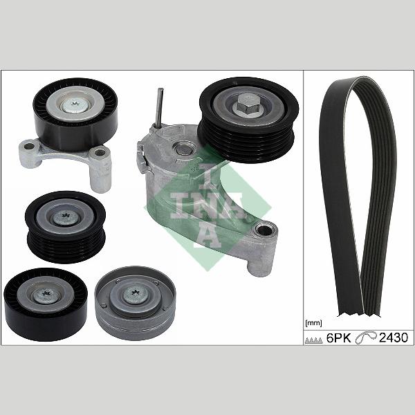 INA 529055410 V-Ribbed Belt Set