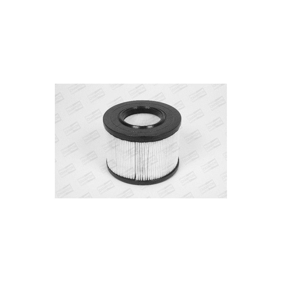 Champion W212/606 Air Filter