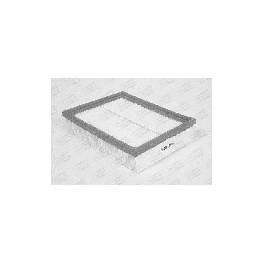 Champion U728/606 Air Filter