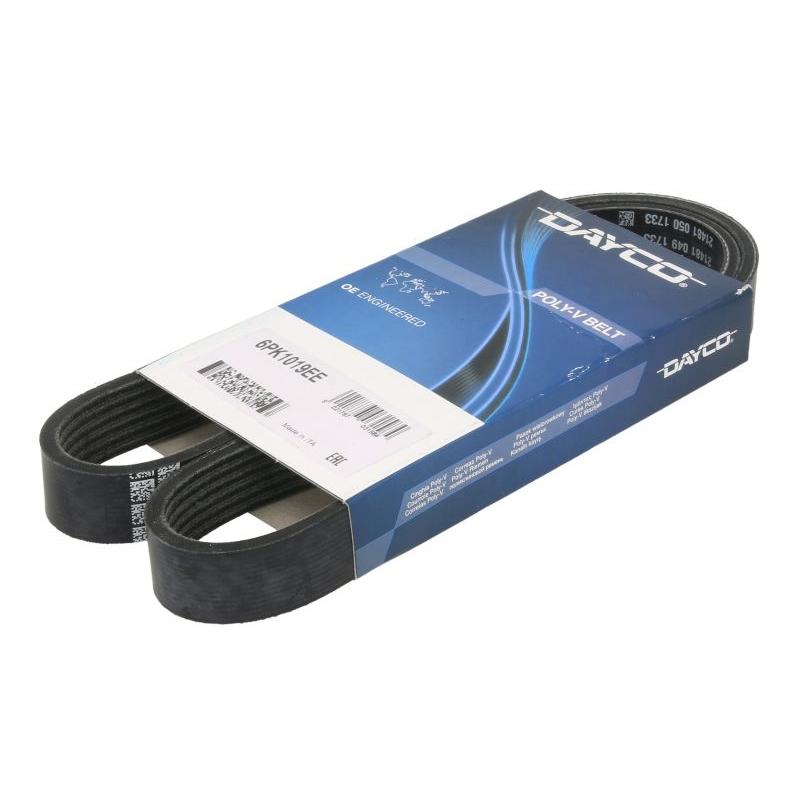 DAYCO DAY6PK1019EE V-Ribbed Belt