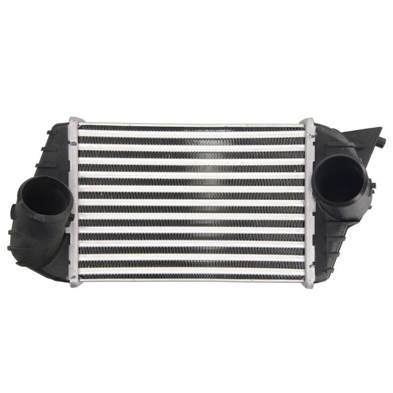 THERMOTEC DAF009TT Charge Air Cooler