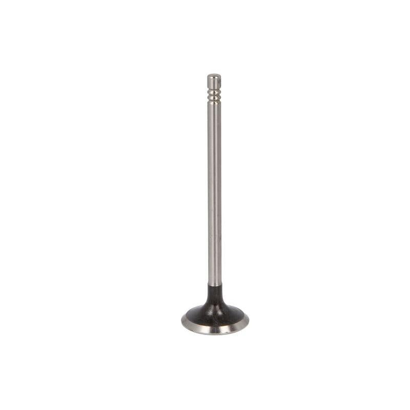 AE V94246 Exhaust Valve