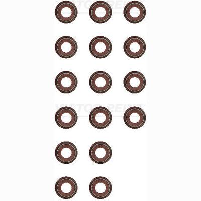 REINZ 12-11005-02 Valve Stem Seal Set