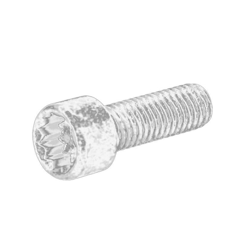 OE VW N91005902 Pulley Bolt