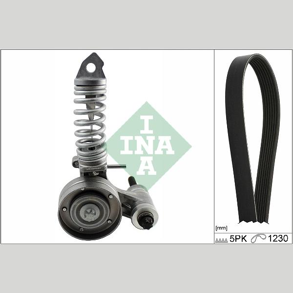 INA 529029610 V-Ribbed Belt Set