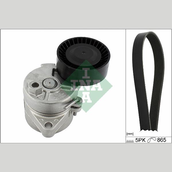 INA 529045810 V-Ribbed Belt Set