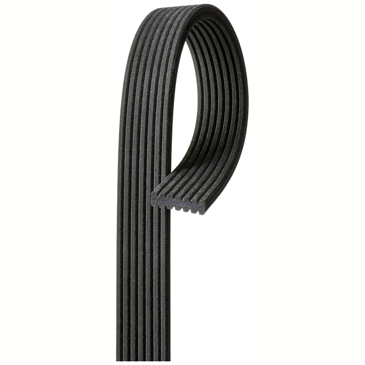 GATES GAT7DPK1697 V-Ribbed Belt