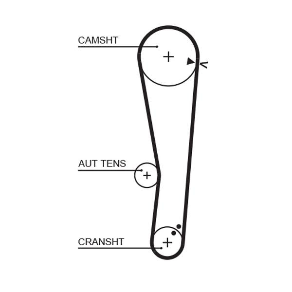 GATES GAT5568XS Timing Belt