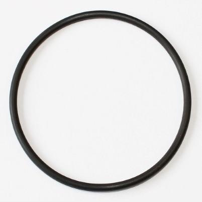 TRW MOTO PSA544 Brake Booster