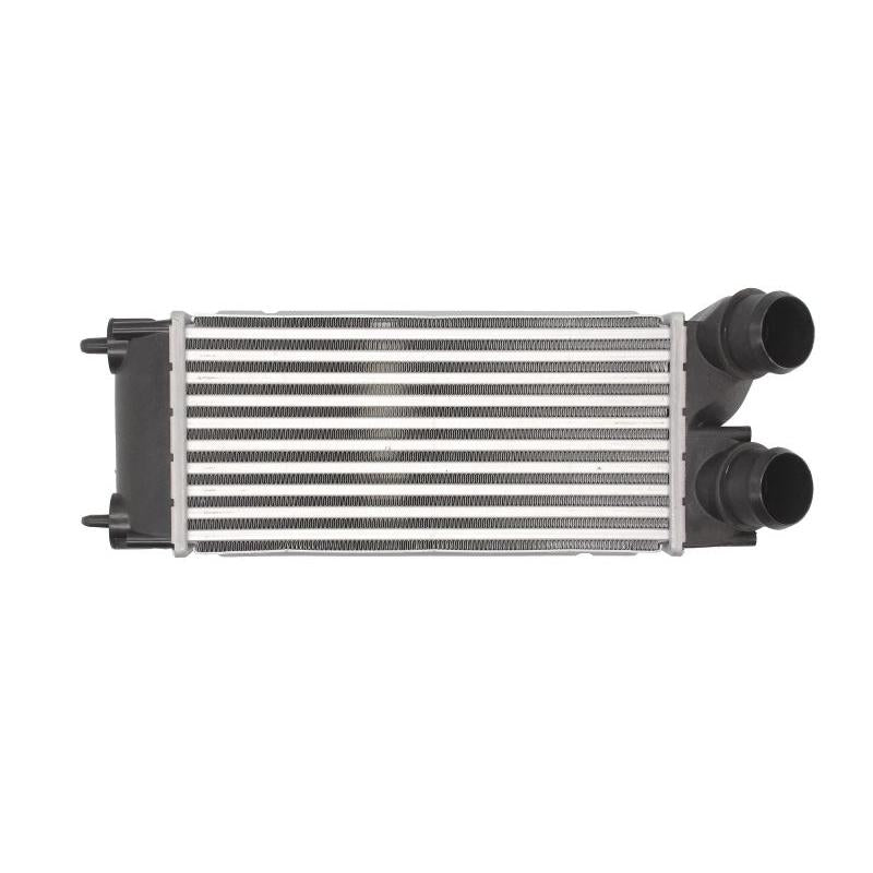 THERMOTEC DAP002TT Charge Air Cooler