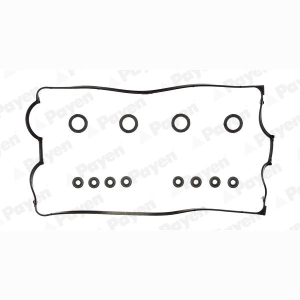 PAYEN HM5228 Cylinder Head Cover Gasket Set