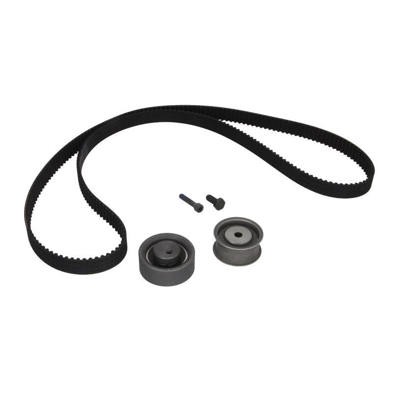 INA 530016110 Timing Belt Set
