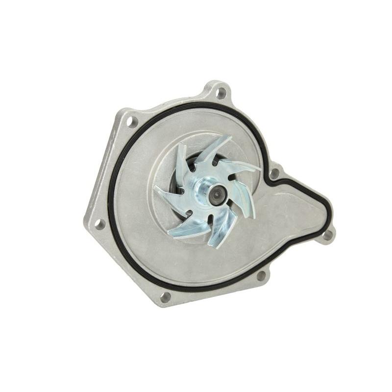 SKF VKPC81310 Water Pump