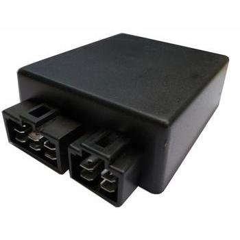 DZE DZE01604 Ignition Module