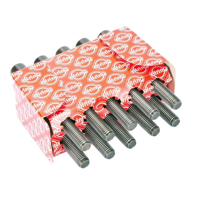 ELRING EL819824 Cylinder Head Bolt Set