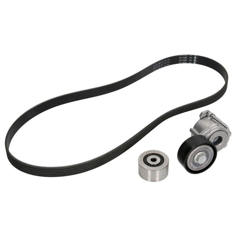 INA 529001910 V-Ribbed Belt Set