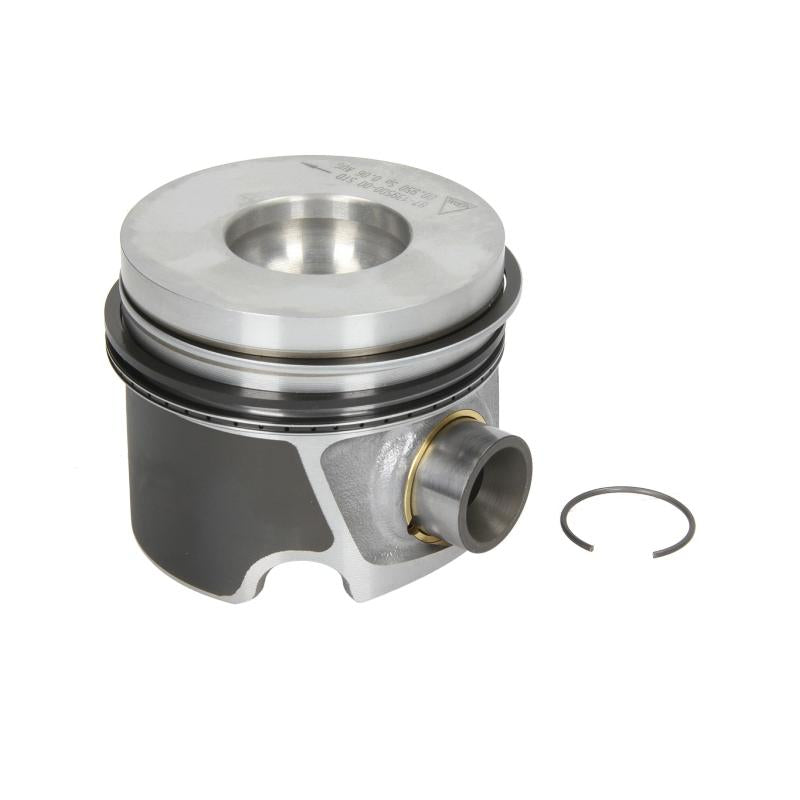 NURAL 8713950000 Piston
