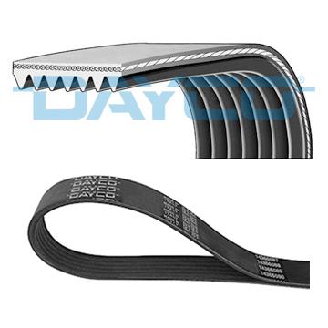 DAYCO DAY7PK1667S V-Ribbed Belt